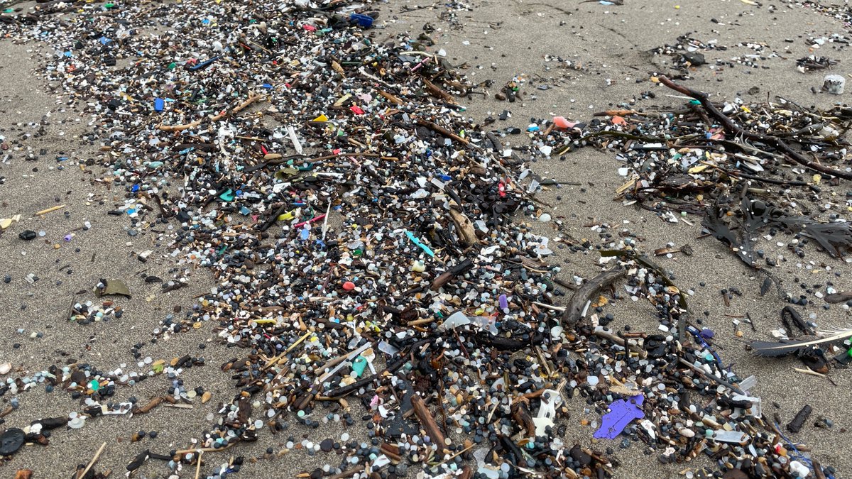 Lego Lost At Sea tweet media