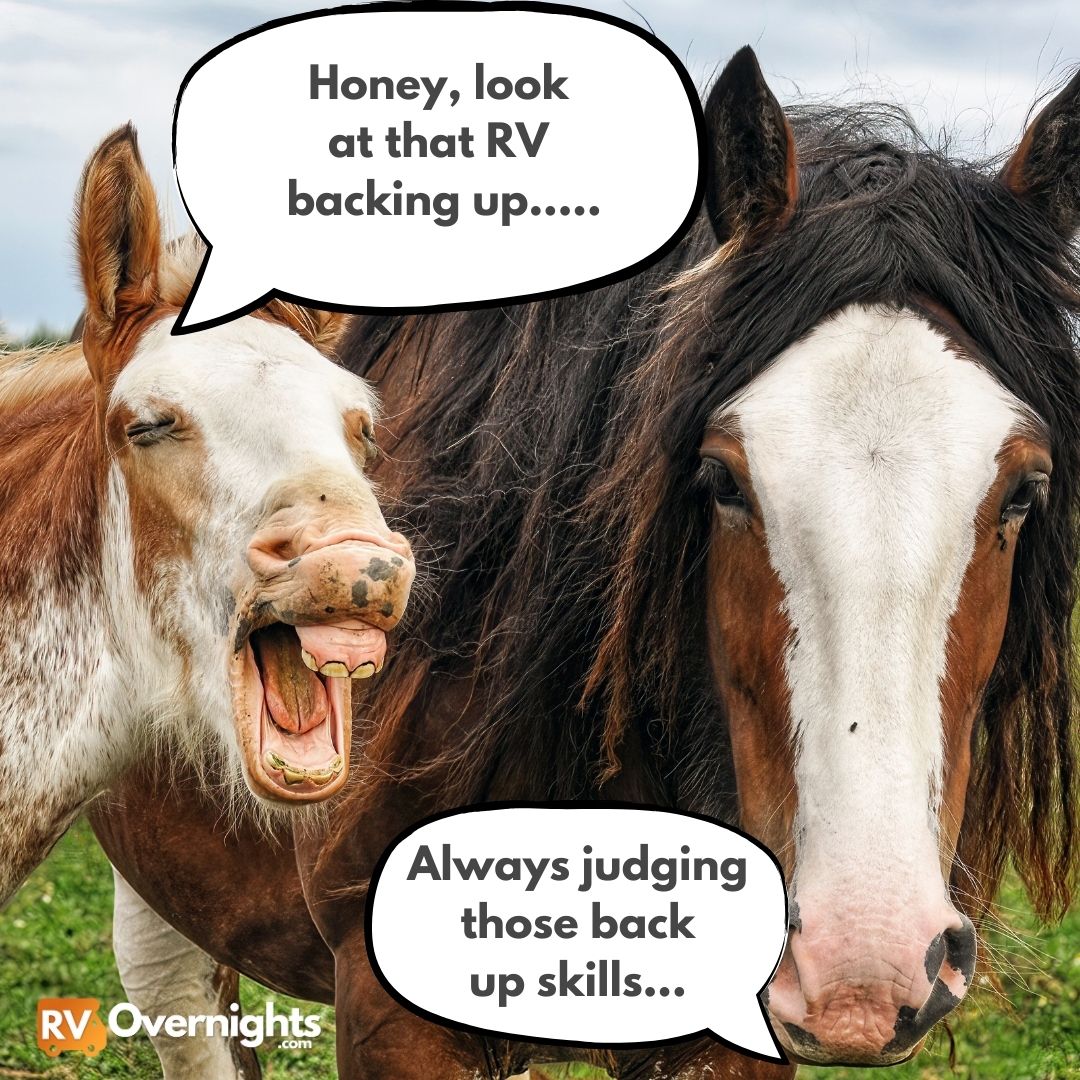 RVOvernights's tweet photo. Is this you or your spouse? 😂😉

Follow us and camp for FREE at our host locations:
@rvovernights
@rvovernights

#rv #rvlife #rvliving #rving #rvlifestyle #campinglife #fulltimervliving #rvtipsandtricks #rvtips #RvCamping #RVlove #RVMEME https://t.co/mzun9GUWSn