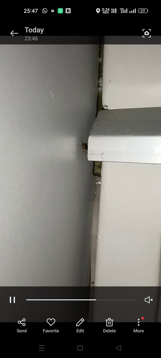 arnavadv1990's tweet photo. why such costly tickets for third ac coach when we have to travel with cockroaches on our birth.
r u going to compensate dis sleepless night for me.
cockroaches on every birth.
@swachhbharat take care of @IRCTCofficial
@RailwaySeva @RailMinIndia @AshwiniVaishnaw
#gandgi https://t.co/bMwjjVLmFN