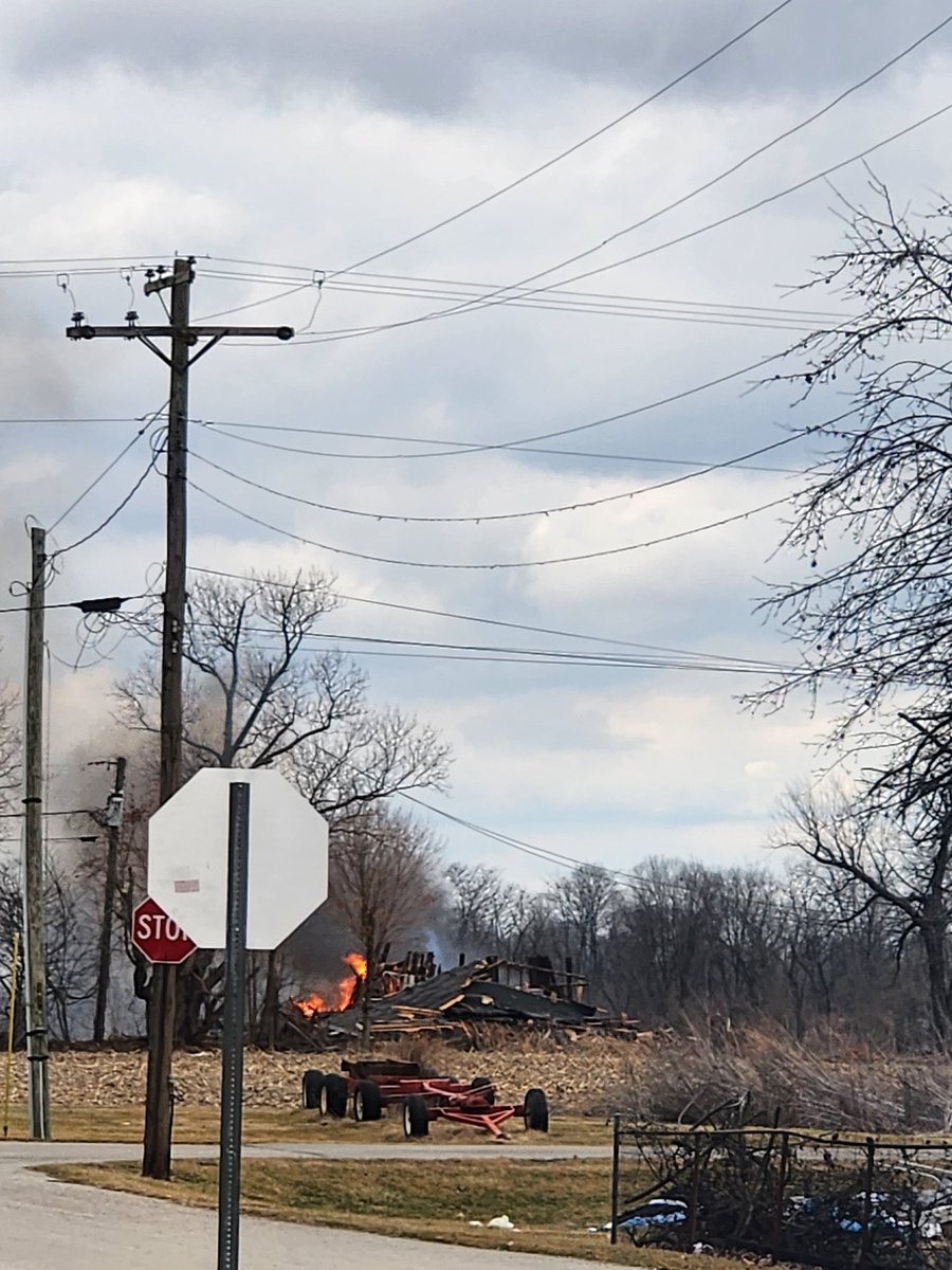 PGrookey's tweet image. oh look signs of scorbunny.........
#firetypes #scorbunny