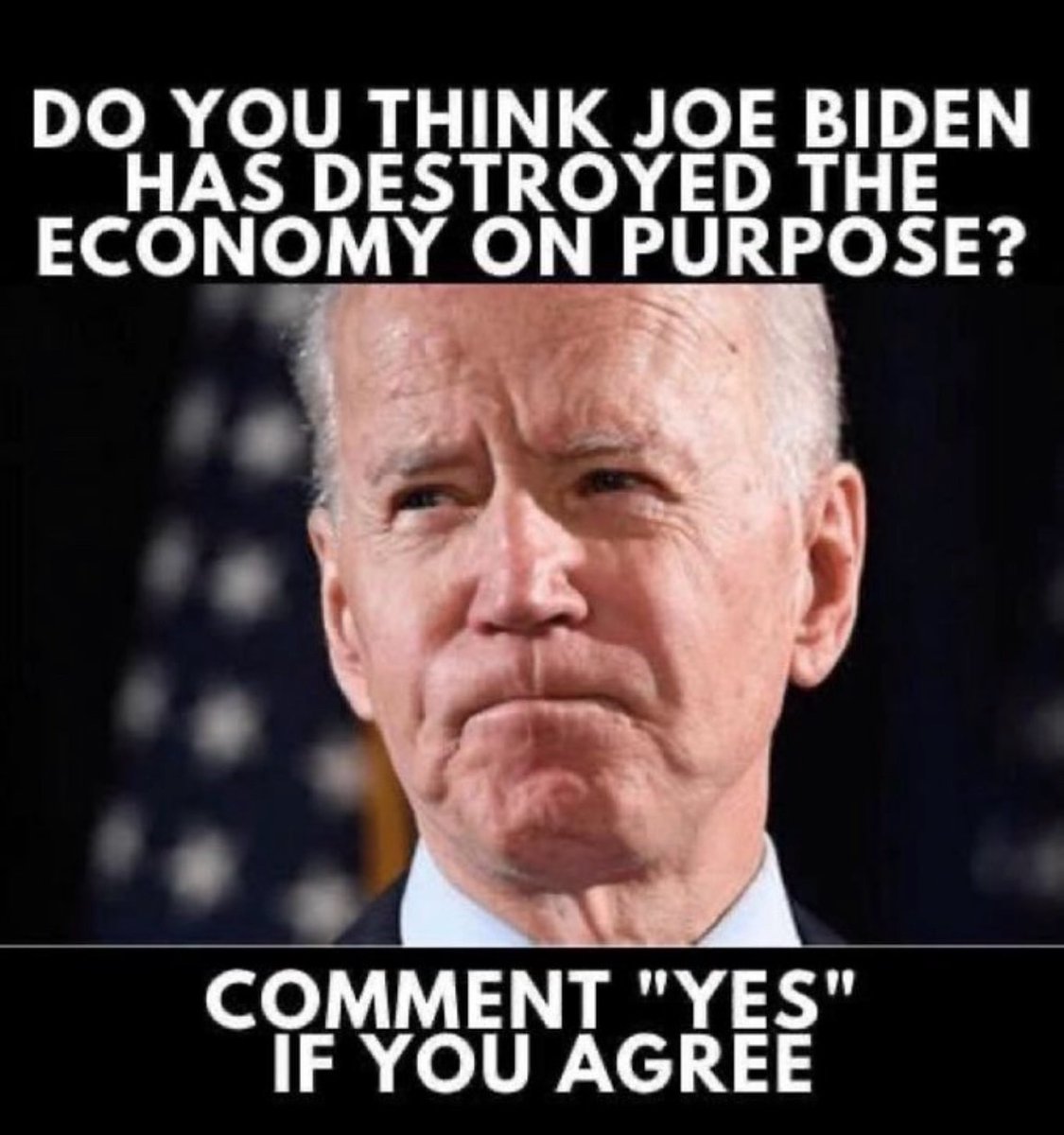 𝓐𝓷𝓷 𝓲𝓼 𝓡𝓲𝓰𝓱𝓽 🕊️ 45 🇺🇸 47 tweet media