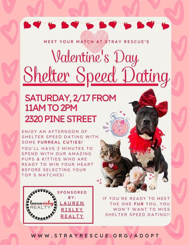 THIS SATURDAY!
We're having a big 'ol adoption event here at Stray Rescue! We have so many amazing animals that are ready for their forever homes! Please invite everyone you have ever met :) 
2320 Pine Street, 63103
11am - 2pm