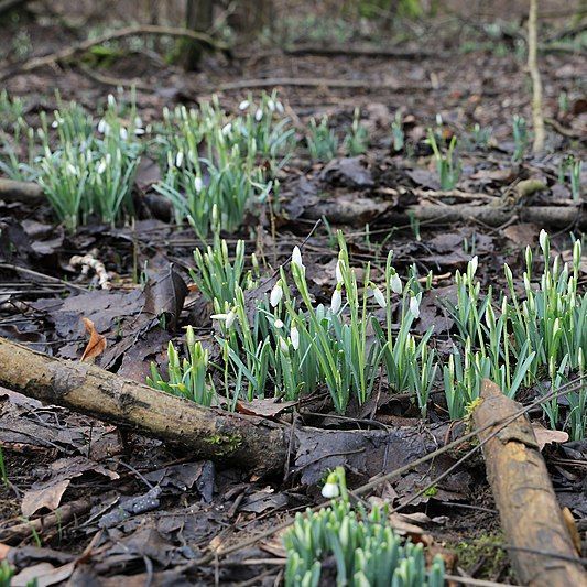 Churchill County Library tweet media