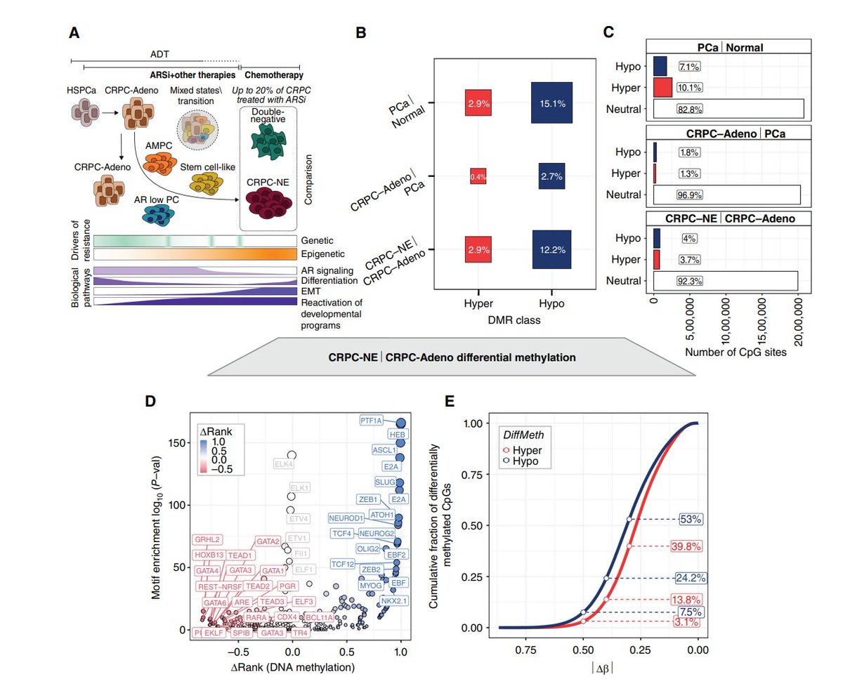 New research introduces a noninvasive method using cfDNA methylation signatures to accurately detect #neuroendocrine #prostate #cancer, highlighting the potential of methylation profiling in personalized medicine. #PrecisionMedicine #CancerTherapy #NEPC #Genomics.…