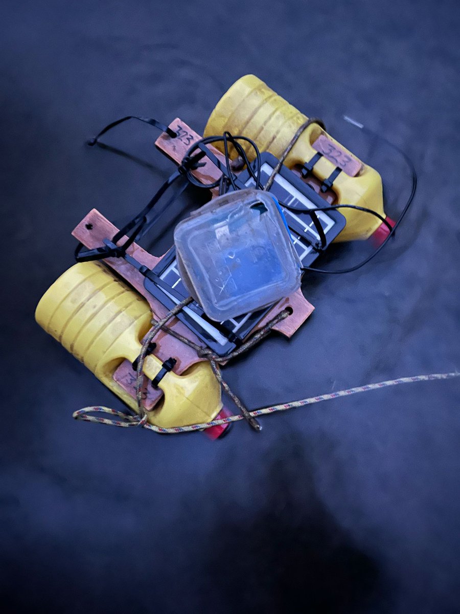 RIP bleachcraft. It's not looking like natural causes