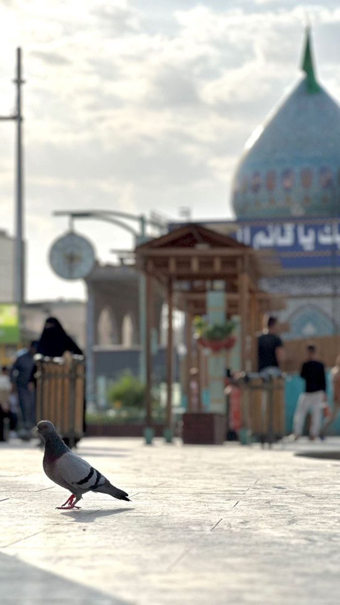 رات کو سونے سے پہلے
مولا امام زمانہ (عج) کی خدمت میں♥️

اَلسَّلام عَلَیک یا مَولانا یا صاحِبَ الزَّمان♥️
اَلسَّلام عَلیکَ یا خَلیفَة الرَّحمن اَلسَّلامُ عَلَیک یاشَریک القُرانِ♥️
عَجَّل اللهُ تَعالی فَرَجَهُ و سَهَّل اللهُ مَخرَجَهُ
 اللّهمَّ‌عَجِّلْ‌لِوَلِیِّڪَ‌الفَرَج 🤲🏻🥺