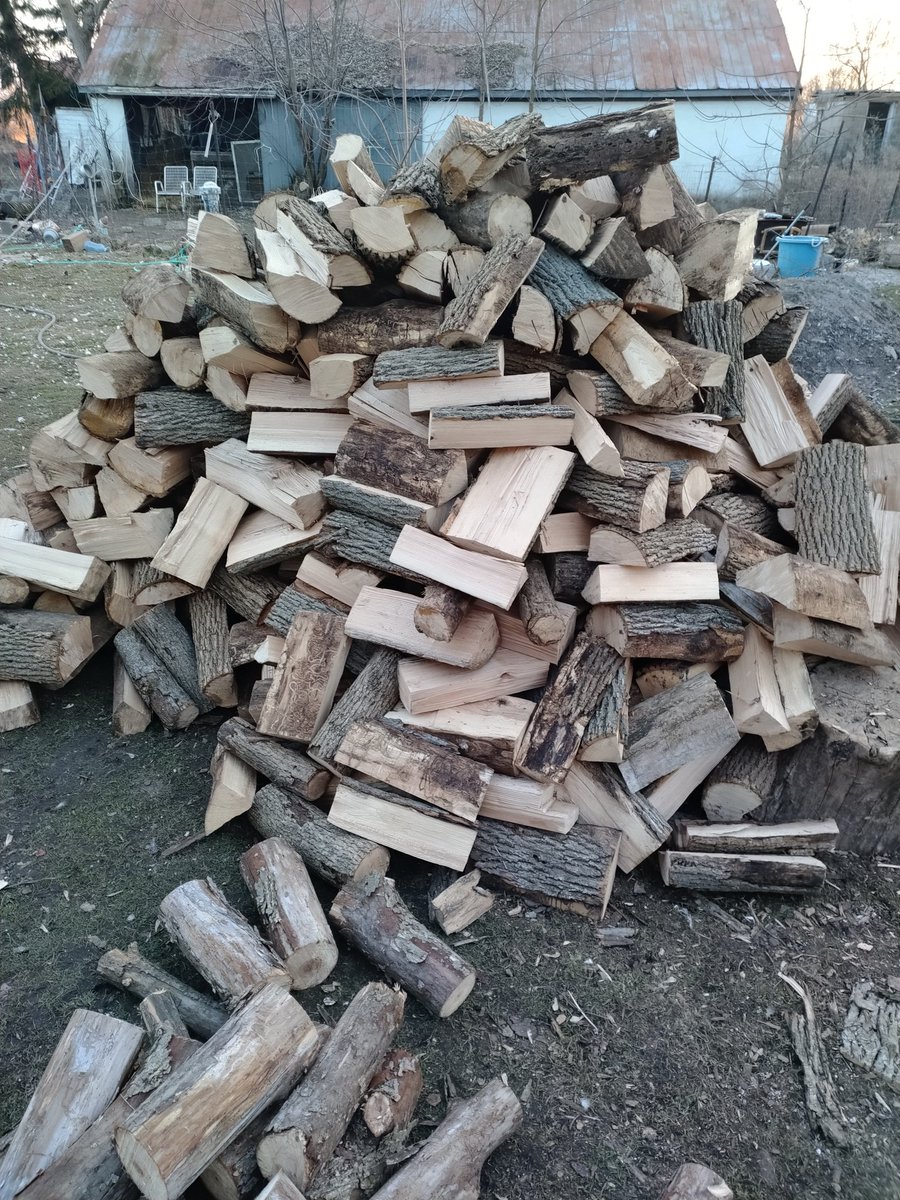 sun_caster's tweet photo. Chop wood by day, make music by night 🪓🪵🎹🎵

#musicproducer https://t.co/ulJ8v6Q589