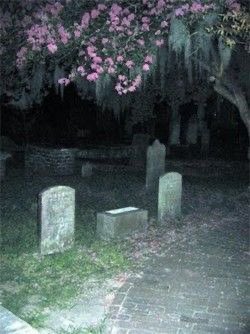 Wyatt Shears (@oldhauntedhorse) on Twitter photo 