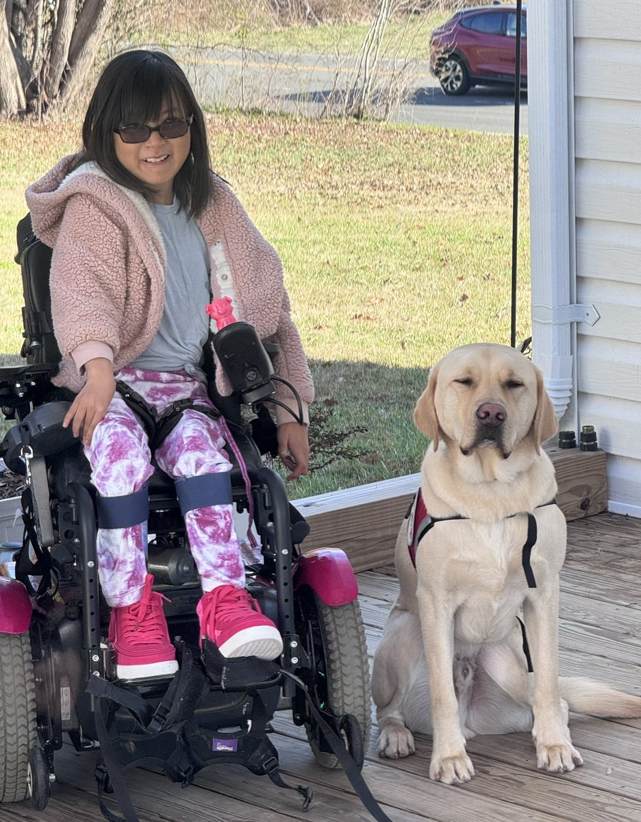 Meet Simon, Zoe’s service dog! He likes treats, playing fetch, and helping Zoe. We’re going to ease into having him out and about, starting with home help first, and then we’ll gradually introduce them as a team to more leash-based adventures like school and other outings.