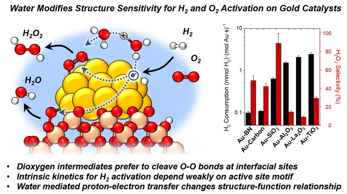 I'm super excited to share my work on Au-water-support interfaces on the transformation of H2 and O2 to H2O2 with @Flaherty_Lab! Check it out at @ACSCatalysis! pubs.acs.org/doi/10.1021/ac…