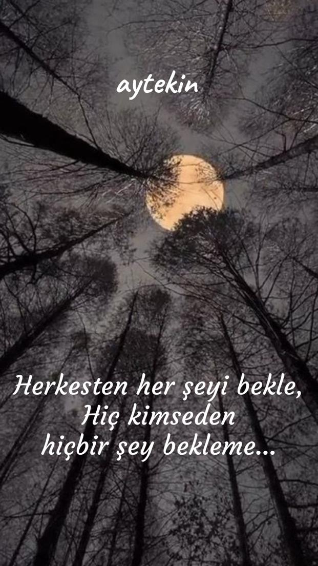 Herkesten her şeyi bekle 
 Hiç kimseden hiç bir şey bekleme..