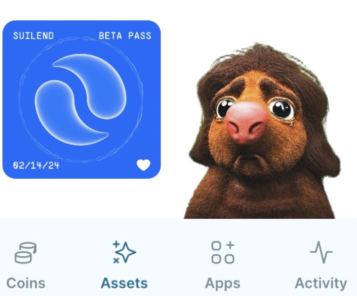 David Ticzon | Sui💧Chief Degen tweet media