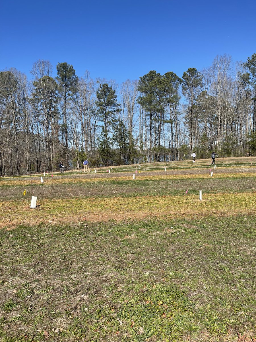 Libby Cieniewicz (@ejcieniewicz) on Twitter photo Our first real research orchard is planted at <a href="/ClemsonCAFLS/">Clemson CAFLS</a> 🍑 Musser Fruit Research Center! You can see the lake through the trees🌅 it’s a pretty spot on the farm for exciting research! Just need the wild pigs to stay away… 🐷 Our first real research orchard is planted at <a href="/ClemsonCAFLS/">Clemson CAFLS</a> 🍑 Musser Fruit Research Center! You can see the lake through the trees🌅 it’s a pretty spot on the farm for exciting research! Just need the wild pigs to stay away… 🐷