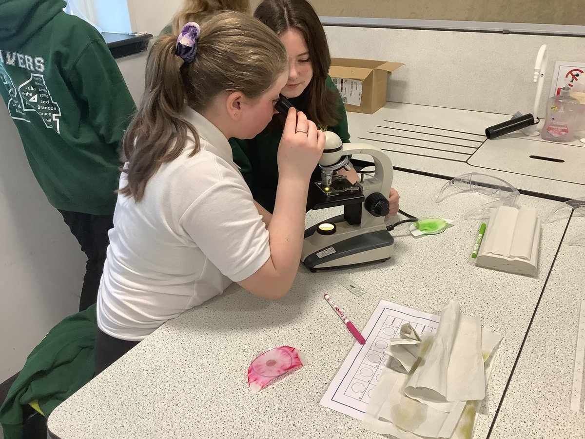 StMarysLargs tweet media