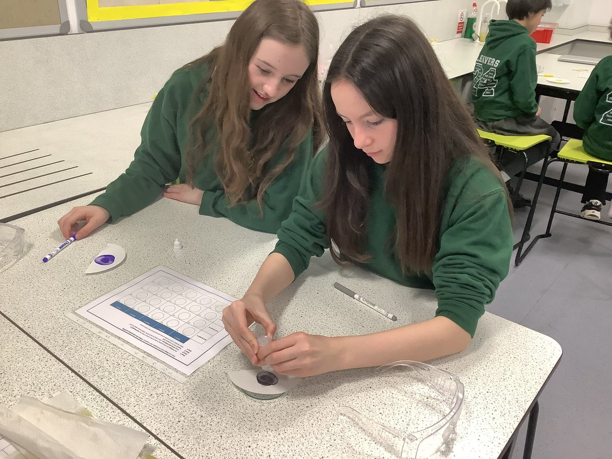 StMarysLargs tweet media