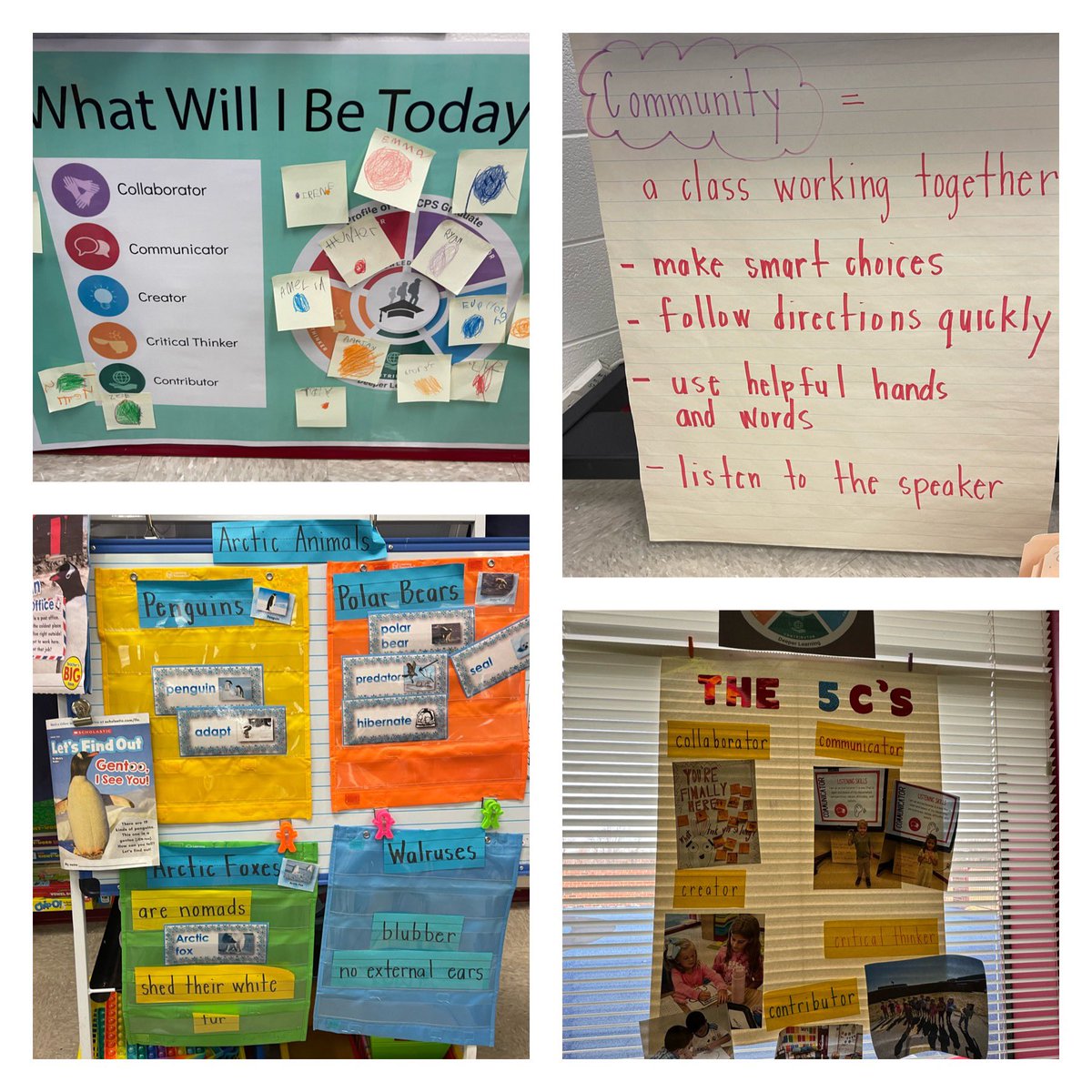 @LCPSProLearning (@lcpsprolearning) on Twitter photo Thank you Mrs. Miles for inviting us to celebrate the amazing work your Ss did on arctic animals! We learned so much about arctic foxes, polar bears, walruses, and penguins! <a href="/KWCcrocs/">Kenneth W Culbert ES</a> #DeeperLearningForAll #LCPS5Cs #ONELCPS #lcps24 Thank you Mrs. Miles for inviting us to celebrate the amazing work your Ss did on arctic animals! We learned so much about arctic foxes, polar bears, walruses, and penguins! <a href="/KWCcrocs/">Kenneth W Culbert ES</a> #DeeperLearningForAll #LCPS5Cs #ONELCPS #lcps24