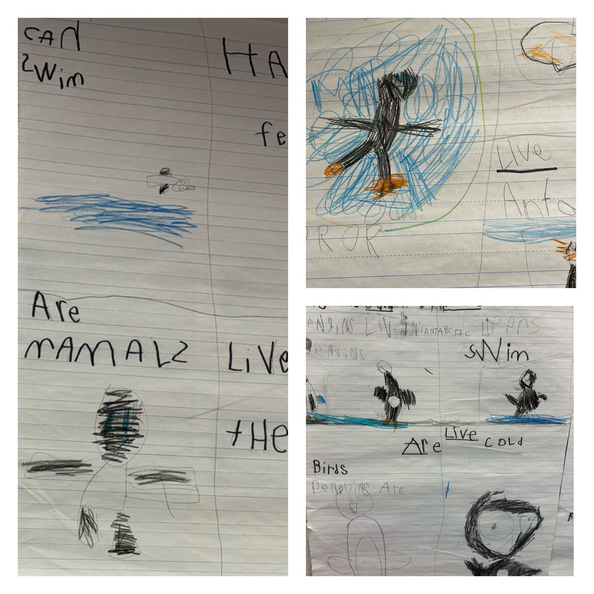 LCPSProLearning's tweet image. Thank you Mrs. Miles for inviting us to celebrate the amazing work your Ss did on arctic animals! We learned so much about arctic foxes, polar bears, walruses, and penguins! @KWCcrocs #DeeperLearningForAll #LCPS5Cs #ONELCPS #lcps24
