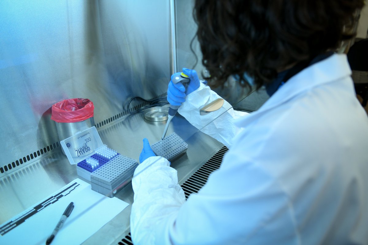 HMHSchoolofMed's tweet photo. Congratulations to med student Elizabeth Titova for her study published in @ASMicrobiology! Elizabeth led @HMHNewJersey research at the CDI providing new evidence of COVID-19 vaccine benefit among the immunocompromised. 
https://t.co/iW2jjGV2aV https://t.co/Uj3JoNP8dA