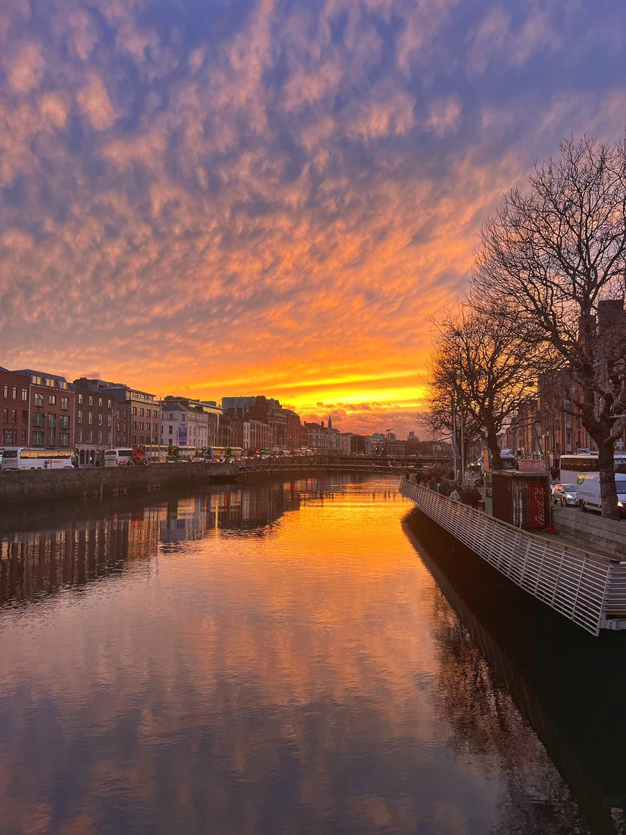 Paddy Mc tweet media