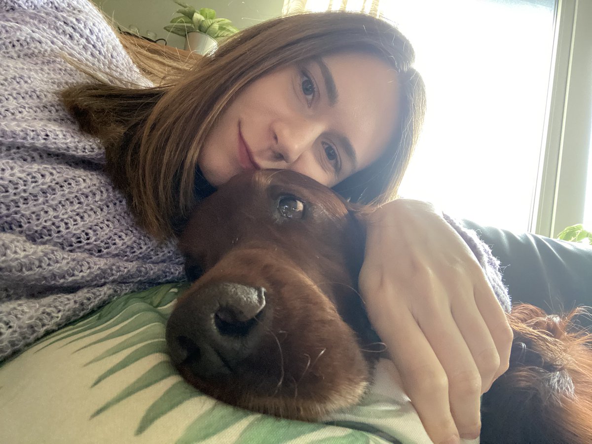 Mary0901's tweet photo. I can’t even believe I’m typing these words but… Last night, I lost my precious Phoenix. My best friend, my sweet baby. After battling epilepsy for almost 2 years, he was taken away far too soon before turning 8. My heart is shattered in a million pieces 💔 https://t.co/2a0gQELYWW