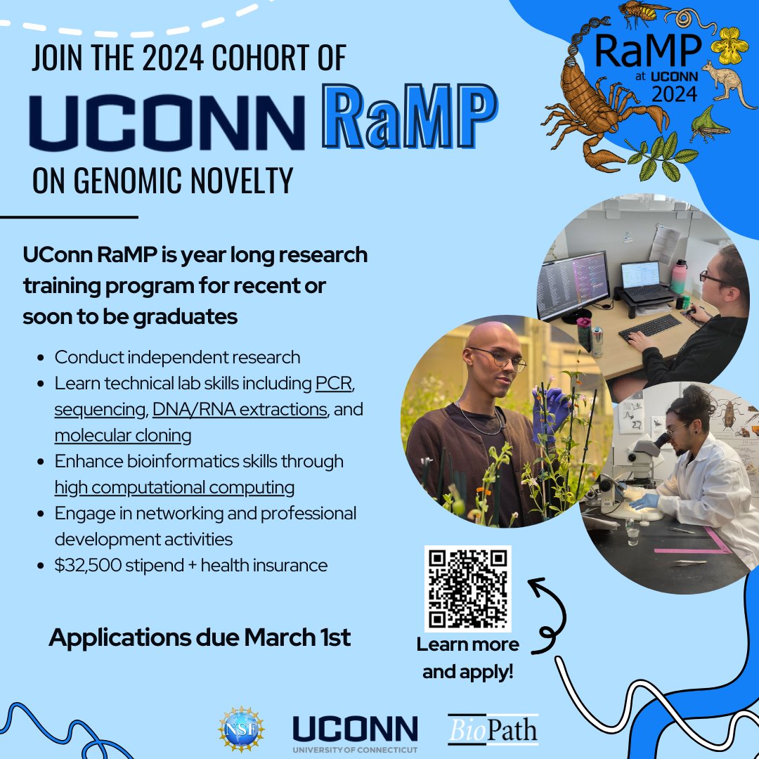 Interested in research? Want to give genomics a try? 🤔

It's not to late to apply! We are accepting applications until March 1st. Don' t miss your chance to join the 2024 cohort of UConn RaMP on genomic novelty 🧬🥼⏲️🔬
#UConn #nsf #STEM