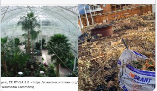 We are gathering information on planting & plant-related activities for inclusion in restored Winter Gardens. Please complete the survey - results will be used in discussion with Glasgow Life in reimagining this important civic asset. @glasgowswestend friendsofppwggg.org.uk/winter-gardens…