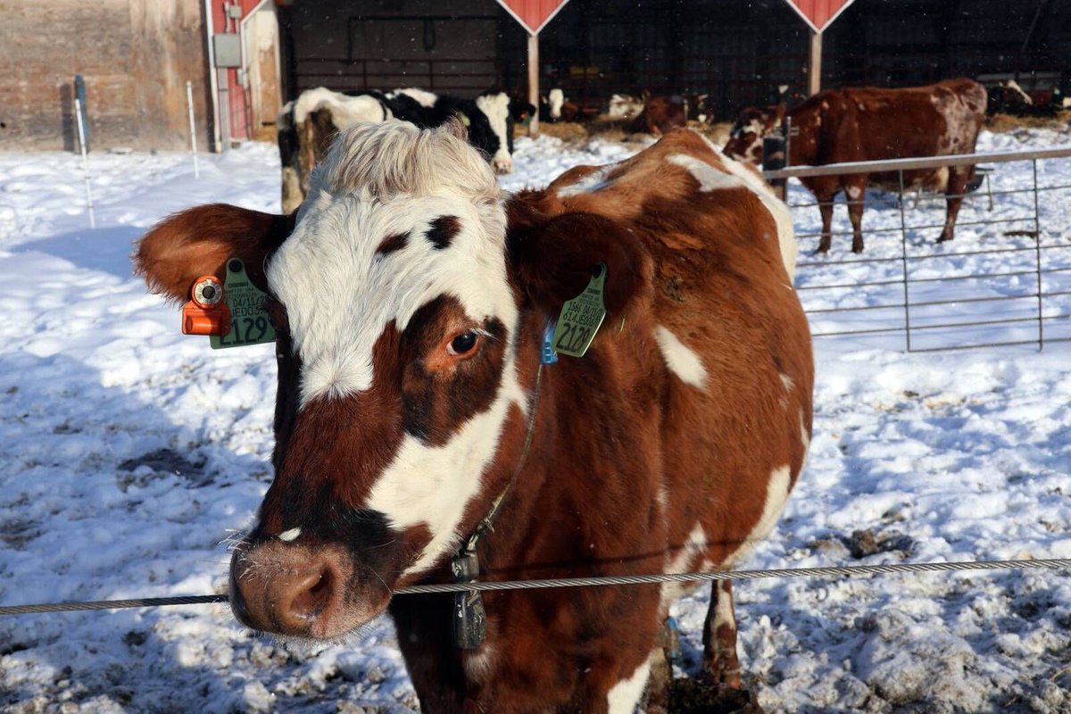 ScottSlavin's tweet image. buff.ly/3SYmAKY