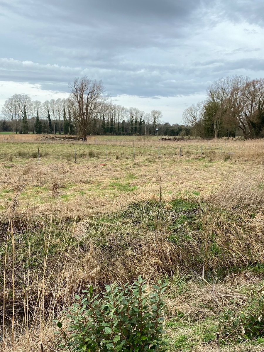 Stephen Howell tweet media