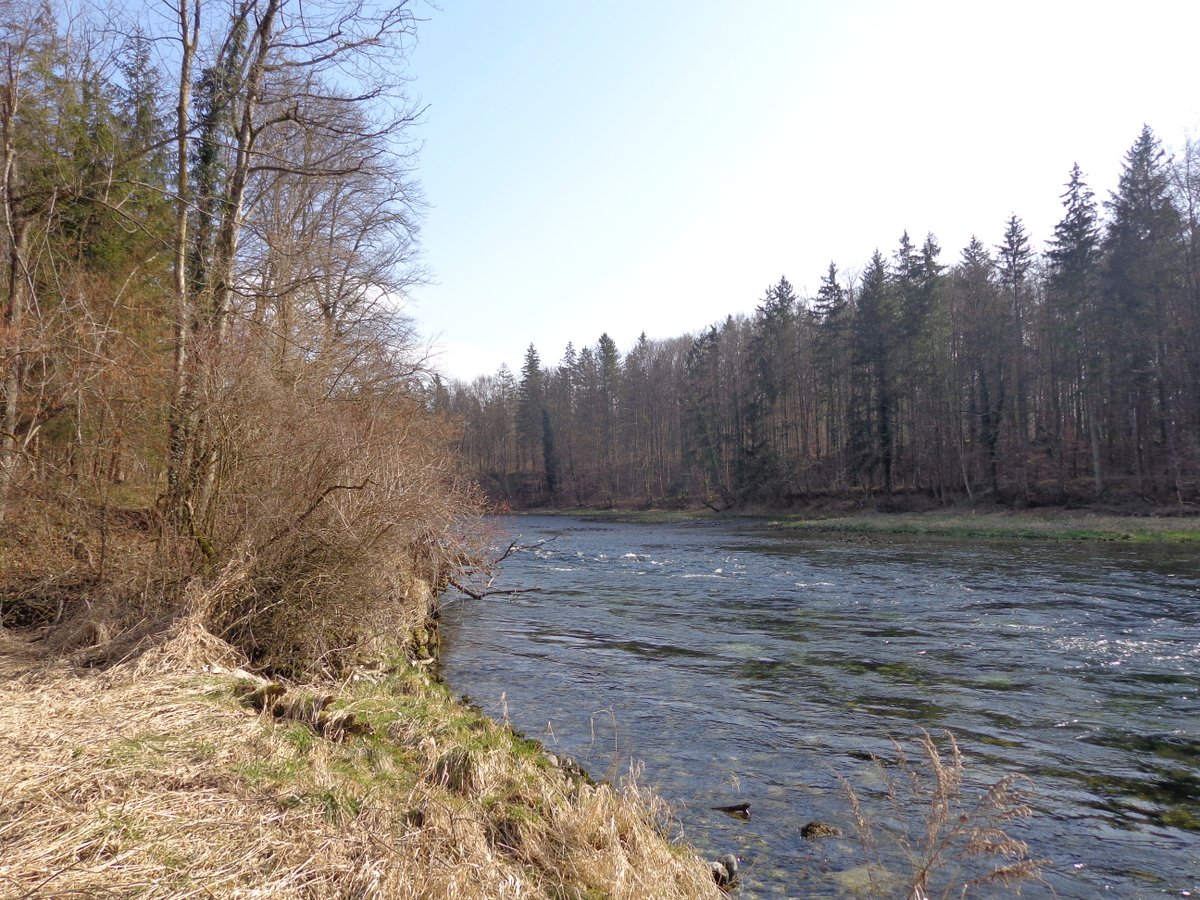wanderfreund01's tweet image. River Traun 
#Traun #Kemating #Fluss #Traunviertel #Austria #Österreich #Oberösterreich #Kamerafoto #Sonydsch90 #Flusslandschaft