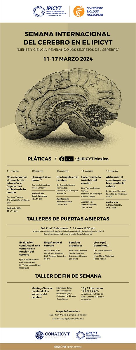 IPICYTciencia's tweet photo. SEMANA INTERNACIONAL DEL CEREBRO EN EL IPICYT
"MENTE Y CIENCIA: REVELANDO LOS SECRETOS DEL CEREBRO"
¡Te invitamos a todas las actividades que tenemos programadas para la semana internacional del cerebro!
📷 Del 11 al 17 de marzo de 2024
📷Te invitamos a consultar la programación. https://t.co/zRMtmCpz0r