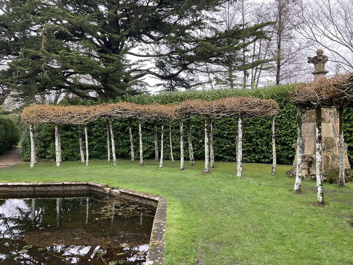 JCmoonpruner's tweet image. Athelhampton House in Dorset last weekend. A beautiful example of plashing ( I’ve always called it pleshing, but I can’t find that spelling anywhere else) or weaving of willows. Quite rare and very time consuming but I love the effect.🏴󠁧󠁢󠁳󠁣󠁴󠁿❤️🙏