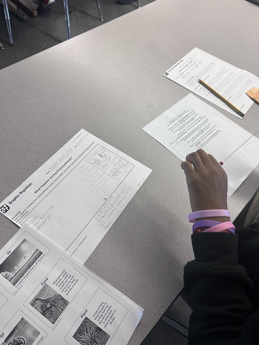 Grade 5 Ss at WRES @McKnight_WRES know all about PHOTOSYNTHESIS🌱. SO REFRESHING to see the ENTHUSIASM about obtaining knowledge of plants💚. @pbscience4u @evacwynar @MathSdpbc @Area4SuptPBCSD #science🧪