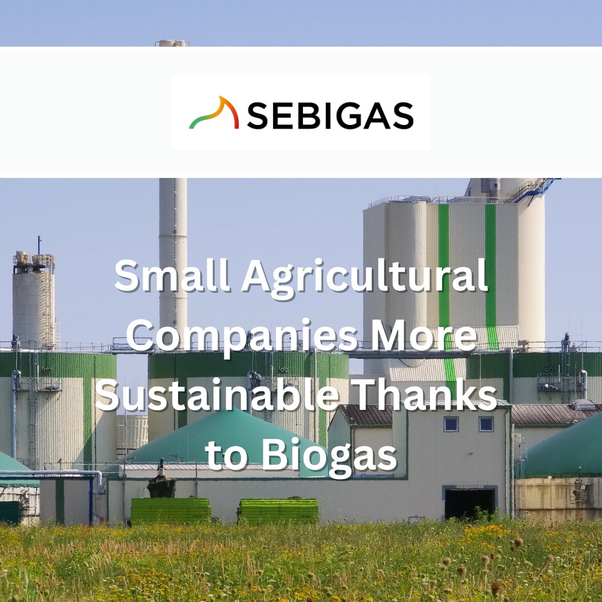 BiogasWorld_ tweet picture