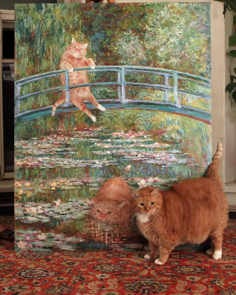 Punch Cat tweet media
