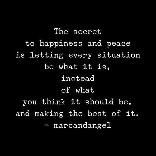 Sandra Possing tweet media