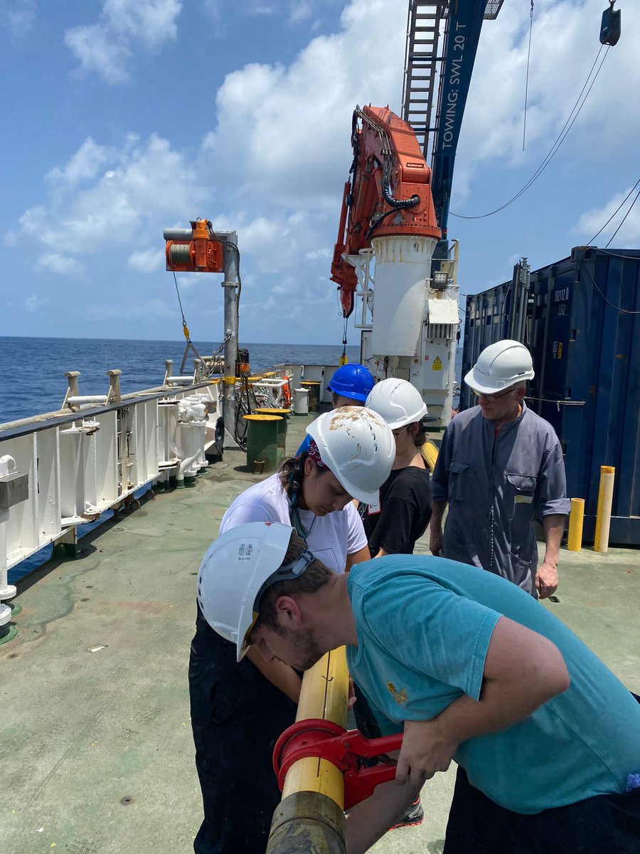 Meg Baker tweet media