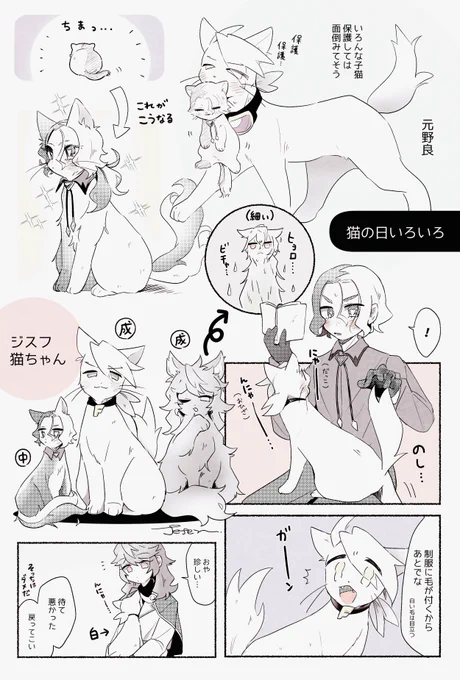 ジスフねこ🐈‍⬛いろいろ 