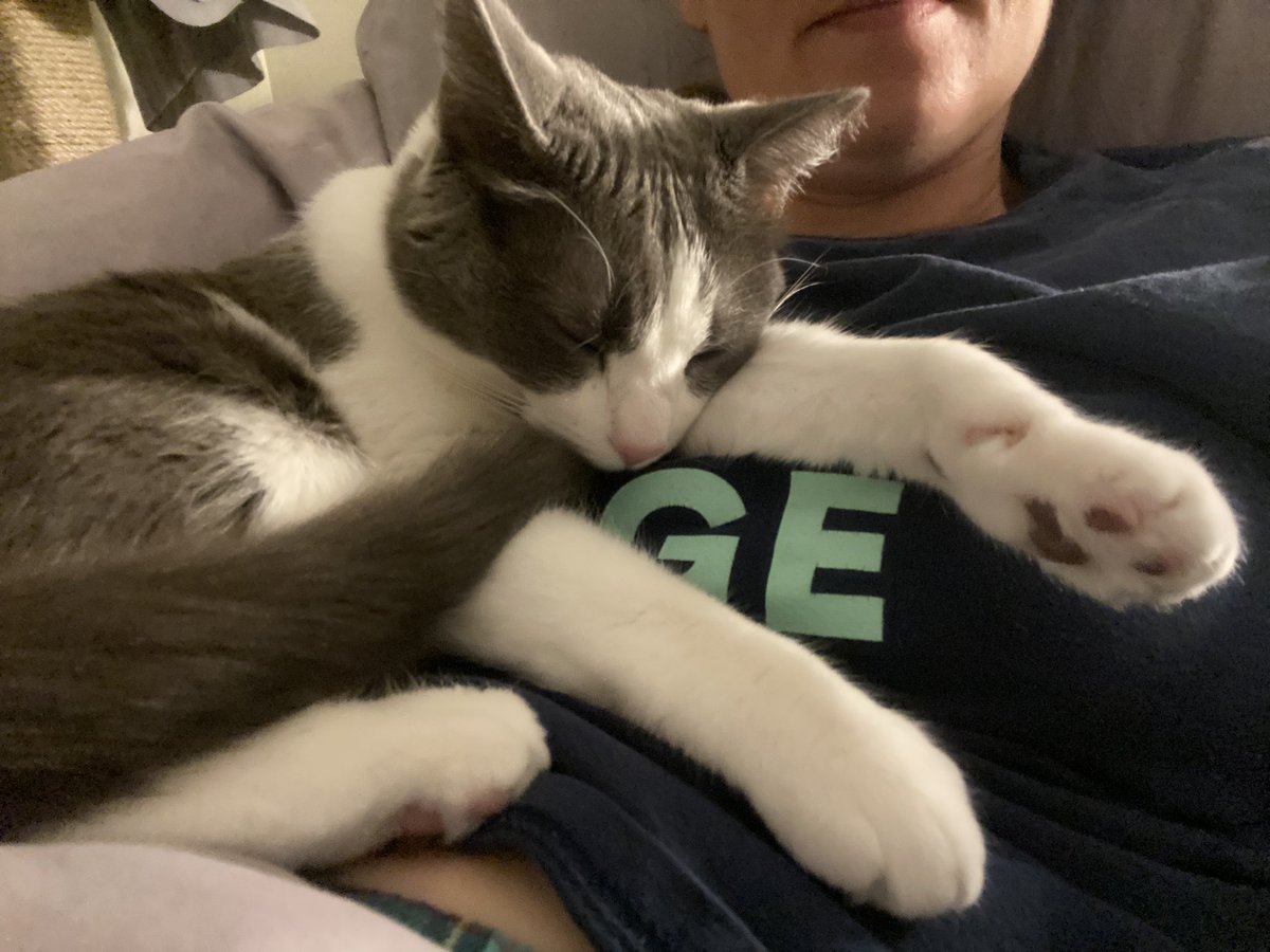 Kat Volk tweet media