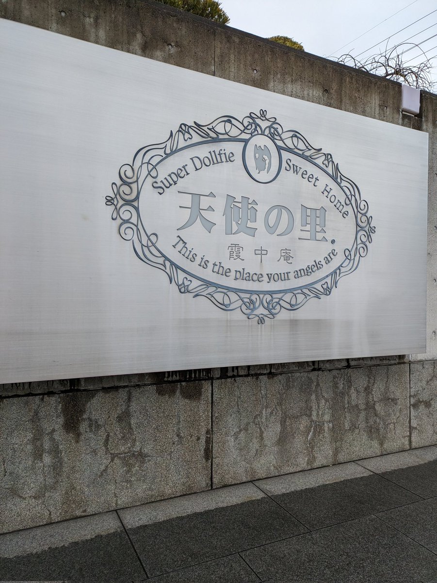 28Natural's tweet photo. 数年振りの里へ来ました(旦那とは別行動)
これでサフィリーンちゃんオーダー完了です✨
京都駅や嵐山がもう凄い人なので既に東京に帰りたいくらい祝日連休初日…🥺
あとは、私の誕生日に窓に受け取りに行くだけなのでのんびり待ちます。
#SD91 https://t.co/xaOaBQP7tG