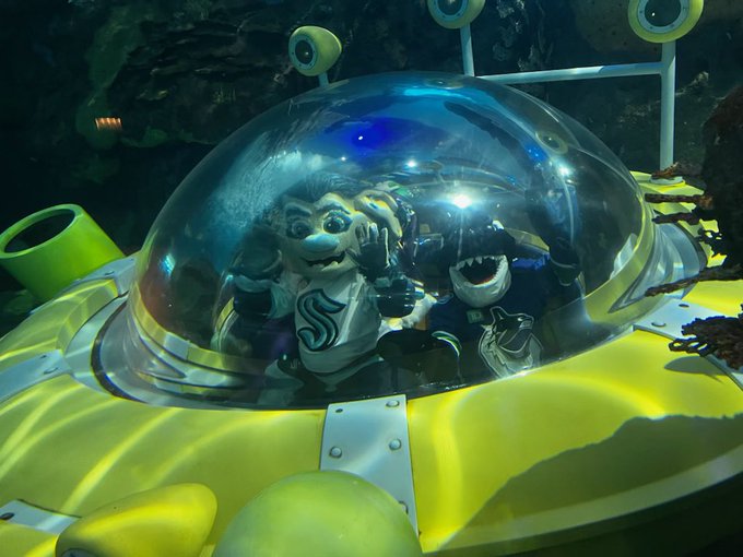 Buoy and fin the canucks mascot in a submarine