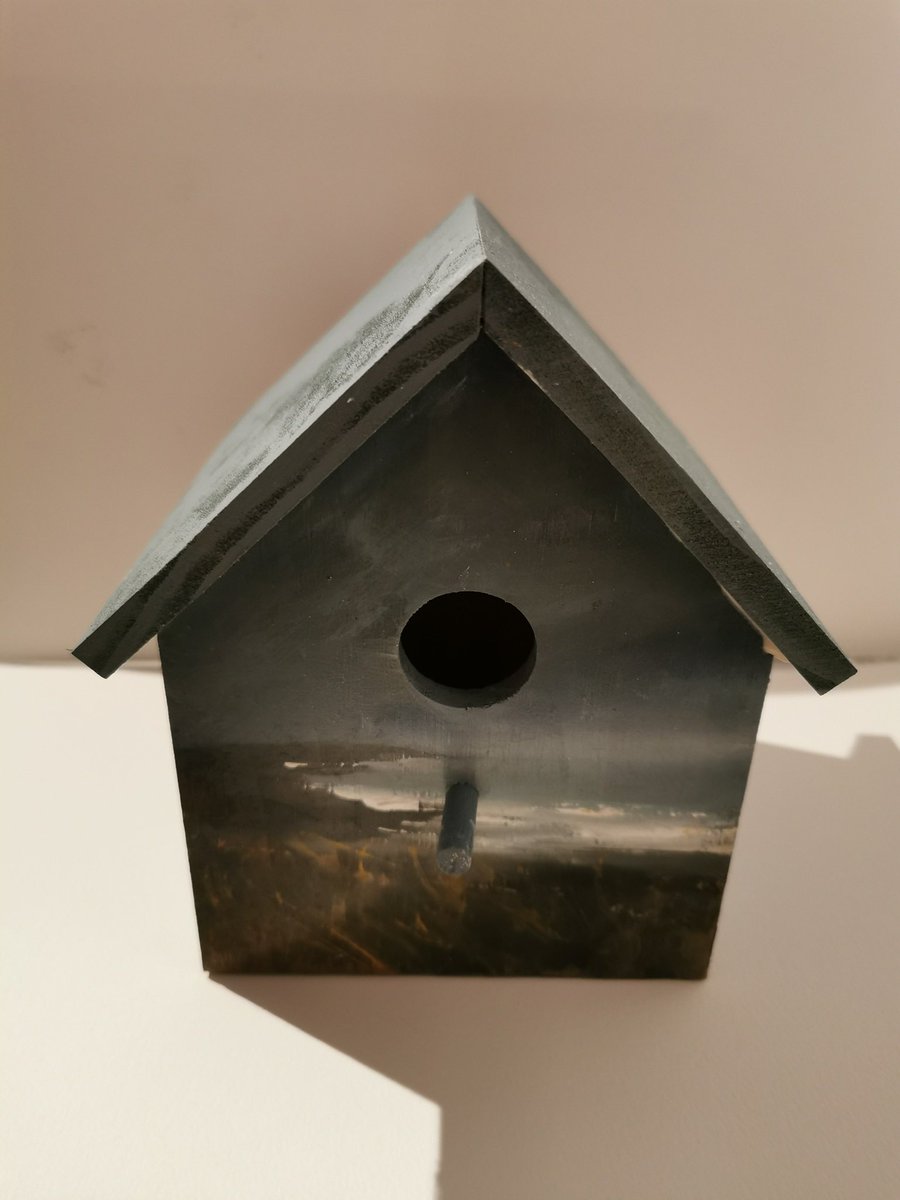 Bird boxes I painted last year