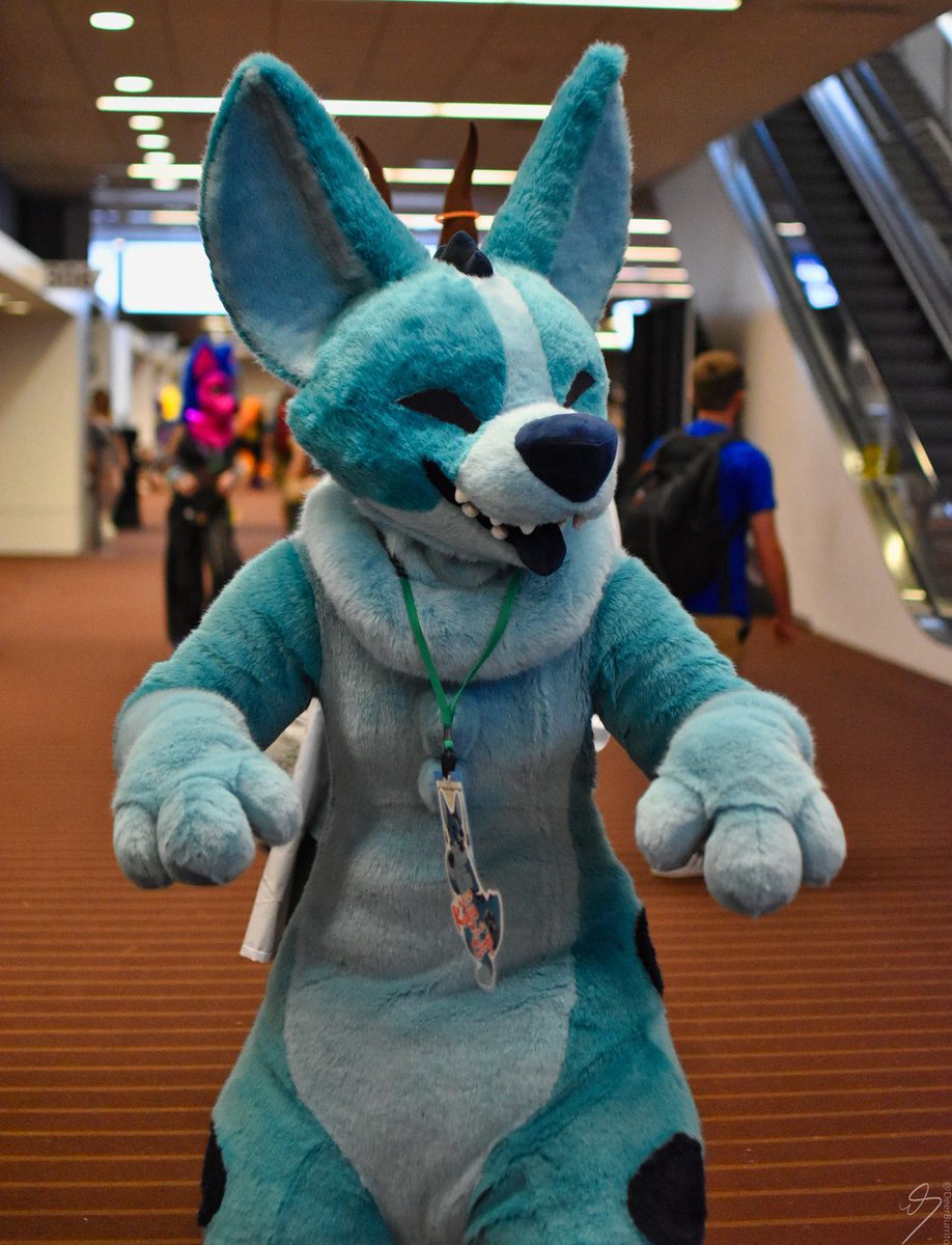 Oakley! 🔜 LVFC, FWA tweet media