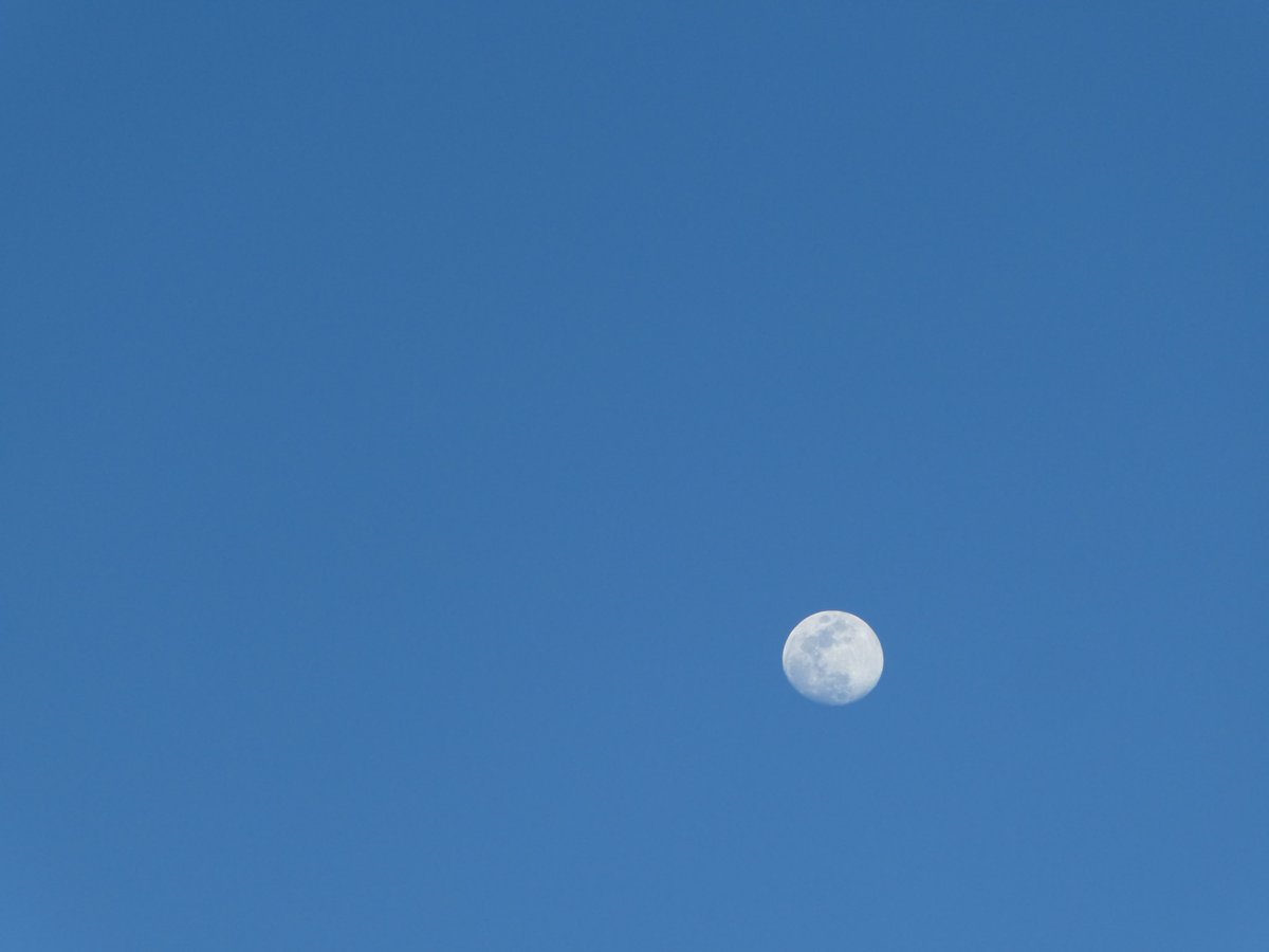 nyxiemoonx's tweet photo. the moon | 2.22.2024 https://t.co/V7MukvlNLv