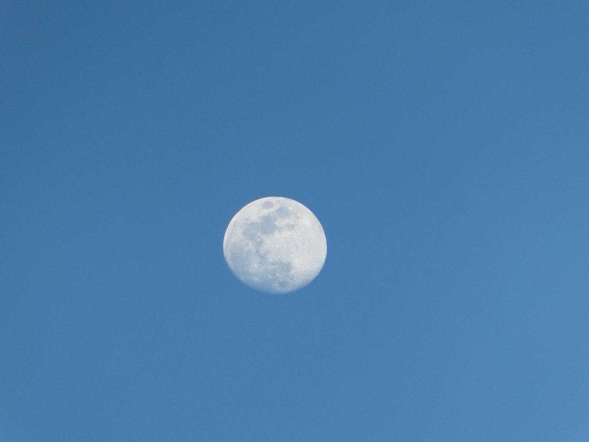 nyxiemoonx's tweet photo. the moon | 2.22.2024 https://t.co/V7MukvlNLv