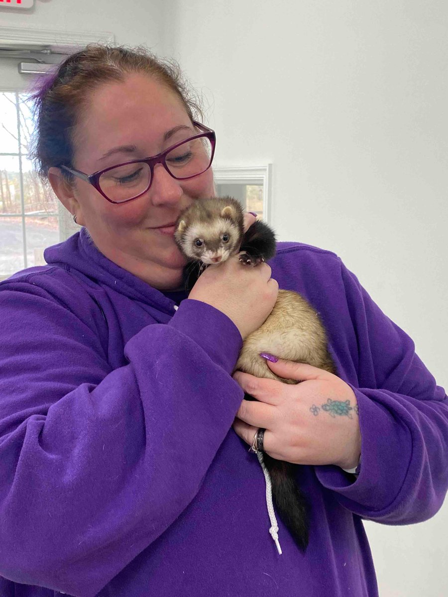 So many sweet pets found their forever homes today! We are so excited for your bright futures full of love and happiness. 💙 We have so many adoptable animals just waiting for their moment that you can view at baywateranimalrescue.org/adopt-today.ht…. #animalrescue #adoptdontshop #donoharm