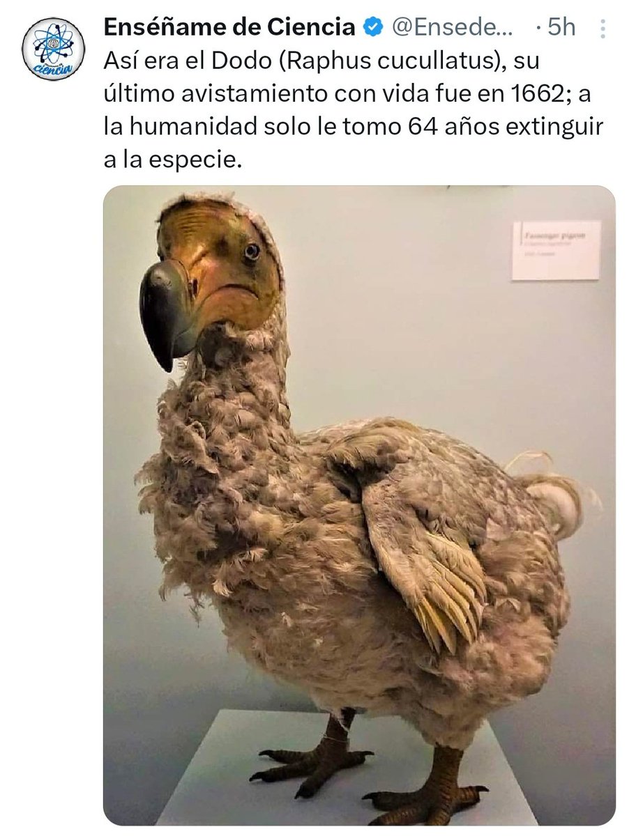 vendo_mas's tweet photo. @cgajardop @aminerals Y así extinguimos las especies...
https://t.co/6mroskx7Gm https://t.co/Itl9sUkpkz