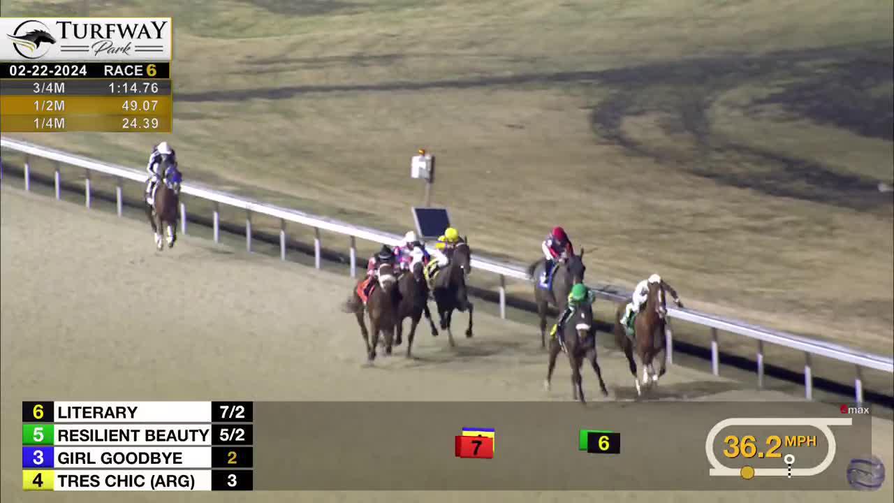 TwinSpires Racing 🏇 on X: Third times a charm for #5 Resilient Beauty,  who breaks her maiden in R6 @turfwaypark! 🤩 @luanmachado85 was aboard for  trainer David Rider. @cp365 🎥 #TwinSpriesReplay  /