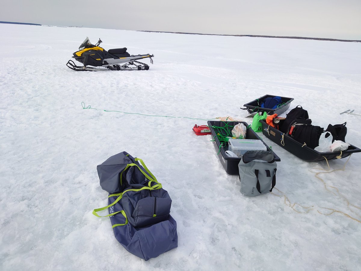 Amin Chabchoub tweet media