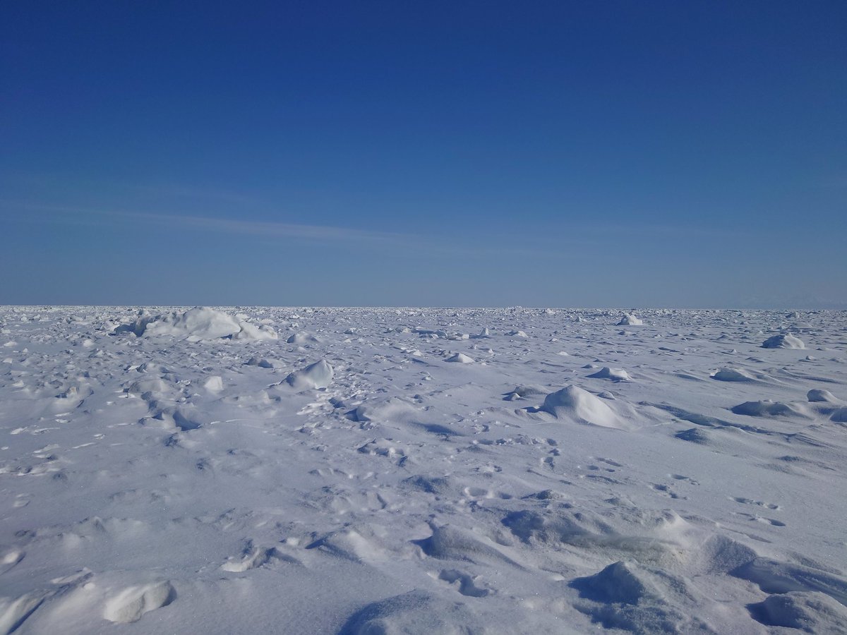 Amin Chabchoub tweet media