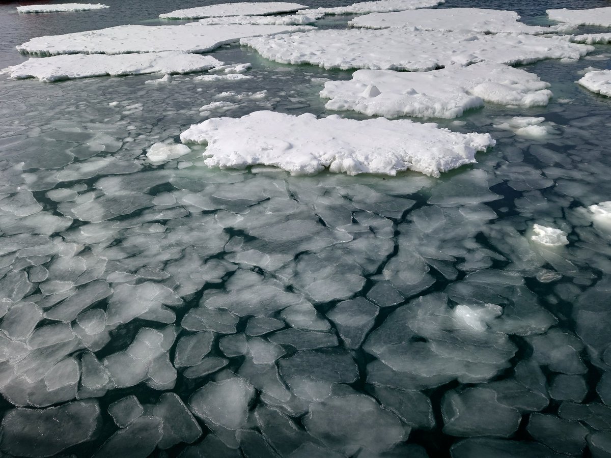 Amin Chabchoub tweet media